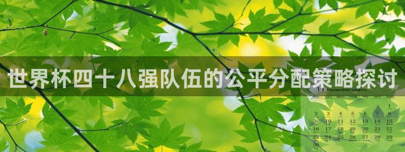看世界杯：世界杯四十八强队伍的公平分配策略探讨
