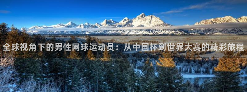 世界杯今日赛程直播：全球视角下的男性网球运动员：从中国杯到世界大赛的精彩旅程