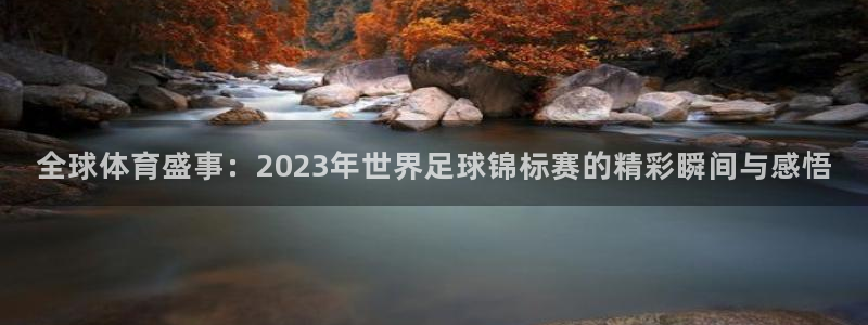 足球世界杯2026：全球体育盛事：2023年世界足球锦标赛的精彩瞬间与感悟