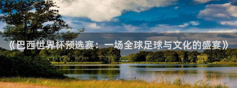 世界杯欧洲区预选赛赛程：《巴西世界杯预选赛：一场全球足球与文化的盛宴》