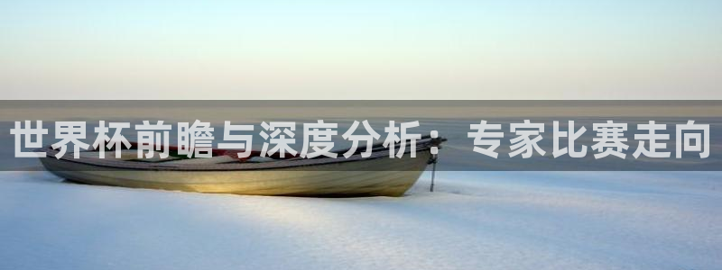 2026世界杯小组赛赛程时间表：世界杯前瞻与深度分析：专家比赛走向