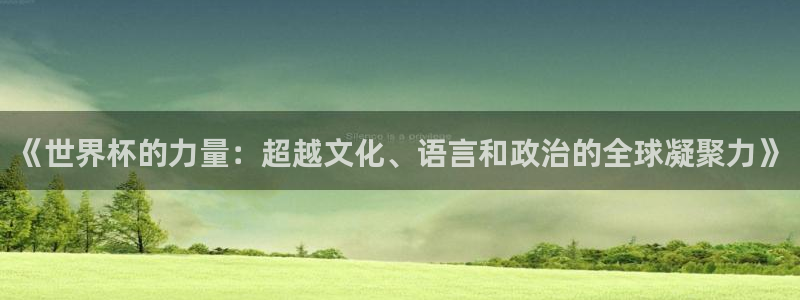 世预赛直播：《世界杯的力量：超越文化、语言和政治的全球凝聚力》