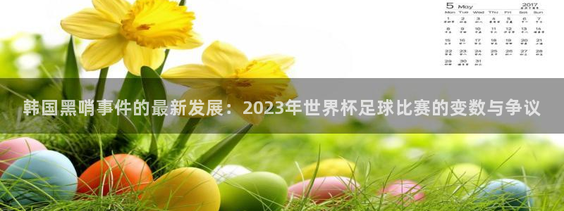 世界杯直播观看：韩国黑哨事件的最新发展：2023年世界杯足球比赛的变数与争议