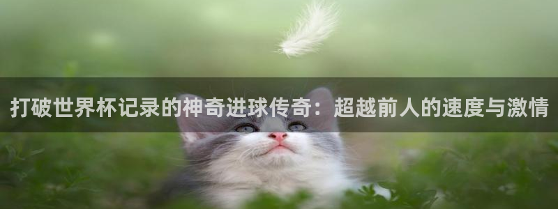 2026世界杯赛程：打破世界杯记录的神奇进球传奇：超越前人的速度与激情