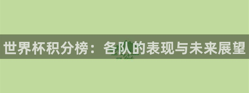 世界杯预选赛亚洲：世界杯积分榜：各队的表现与未来展望
