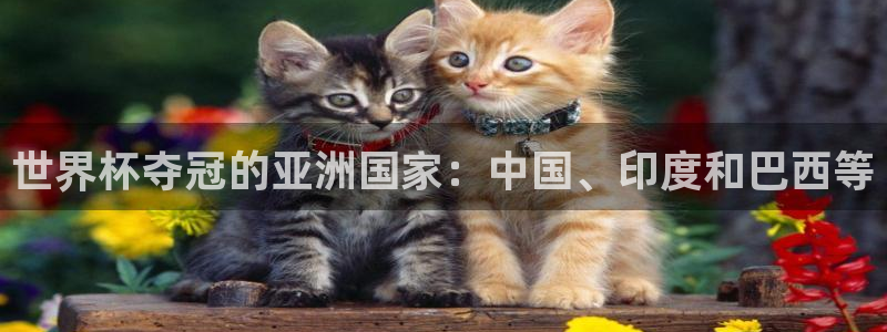 世界杯预选赛欧洲：世界杯夺冠的亚洲国家：中国、印度和巴西等