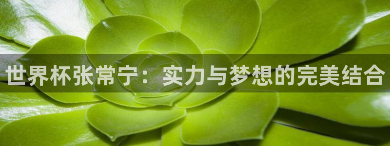 世界杯亚洲区预选赛：世界杯张常宁：实力与梦想的完美结合